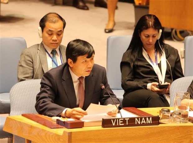 Le Vietnam a une grande chance d’etre elu membre non permanent du Conseil de Securite hinh anh 1