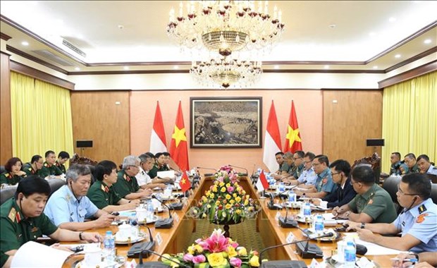 Vietnam et Indonesie tiennent leur premier dialogue sur la politique de defense hinh anh 2