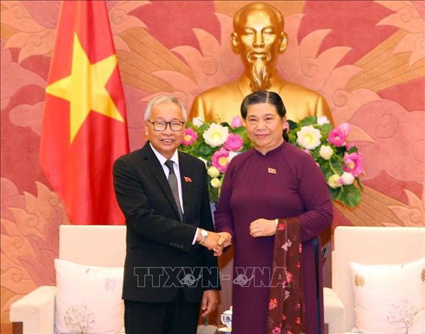 Une delegation de la Ligue nationale pour la democratie du Myanmar en visite au Vietnam hinh anh 1