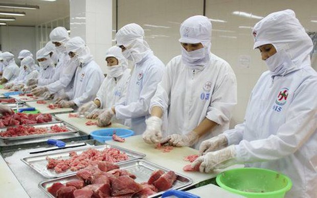 Le Canada augmente les importations de thon vietnamien hinh anh 1
