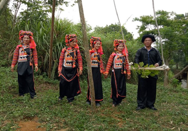 Dans le Nord, les Ha Nhi se balancent pour celebrer la saison des pluies hinh anh 2