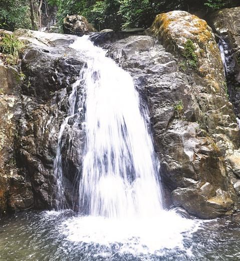 La cascade Bach Van a Quang Ninh hinh anh 1