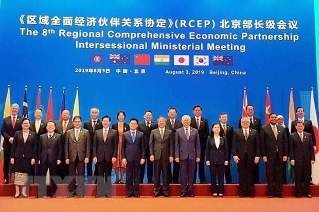 Les pays d'Asie et du Pacifique poursuivent les negociations du RCEP hinh anh 1
