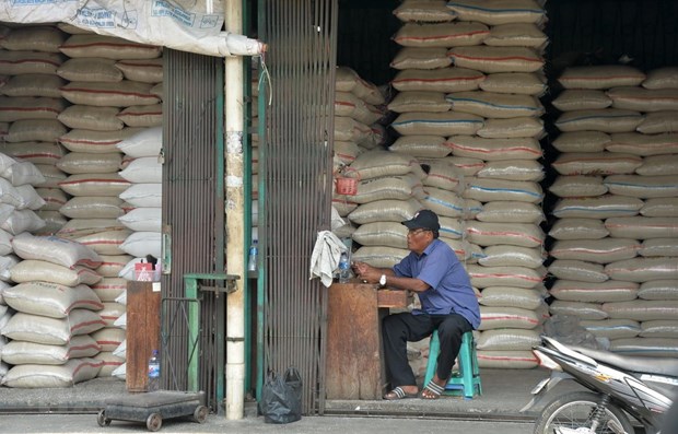 L’Indonesie vise les exportations de 500.000 tonnes de riz en 2020 hinh anh 1