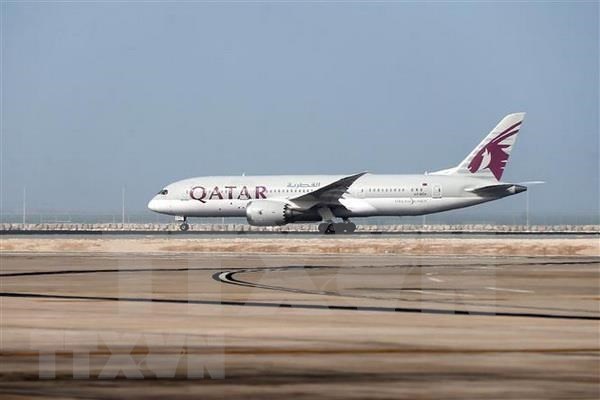 Qatar Airways prevoit d’etoffer son offre sur Doha-Da Nang hinh anh 1