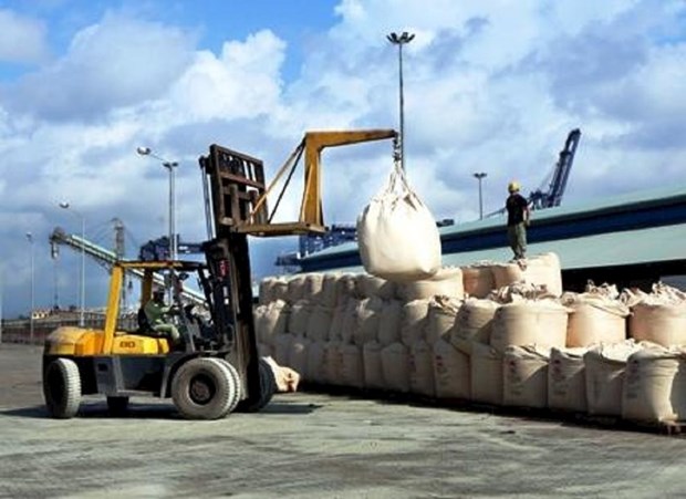 Exportation de 34 millions de tonnes de ciment et de clinker en 2019 hinh anh 1
