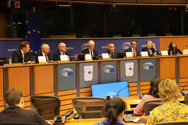Les parlementaires europeens bien informes de l’EVFTA et l’EVIPA hinh anh 1