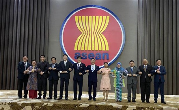 L’ASEAN et le Japon vont propulser leur partenariat strategique hinh anh 1