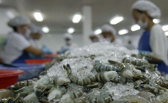 Hausse des exportations de crevettes les deux premiers mois de l’annee hinh anh 1