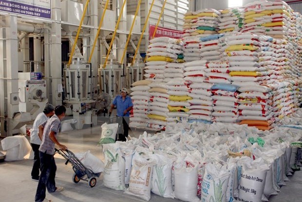 Le ministere de l'Industrie et du Commerce propose d'eliminer le quota d'exportation de riz hinh anh 1