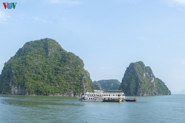 Quang Ninh redynamise le tourisme hinh anh 1