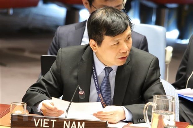 Le Vietnam preside une reunion du Groupe de travail sur les tribunaux internationaux hinh anh 1