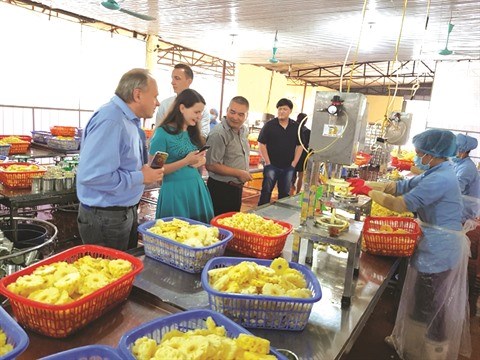 Ninh Binh dynamise son industrie agroalimentaire hinh anh 1