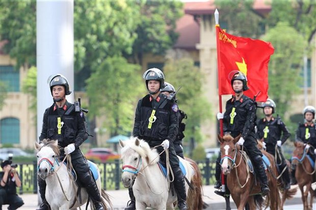 La Police mobile a cheval voit le jour hinh anh 1