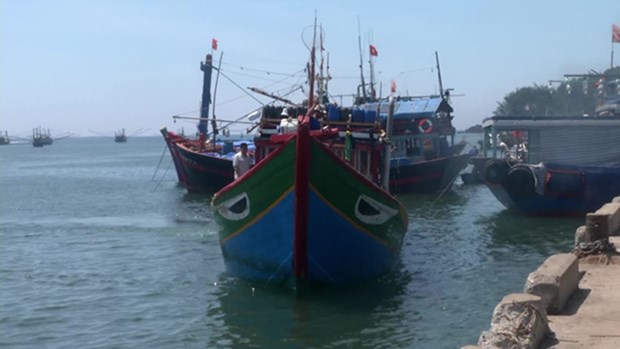 Incident d’un navire de peche vietnamien : demander une cooperation de la partie chinoise hinh anh 1