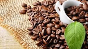 Cafe: plus de 1,6 milliard de dollars d’exportation au 1er semestre hinh anh 1