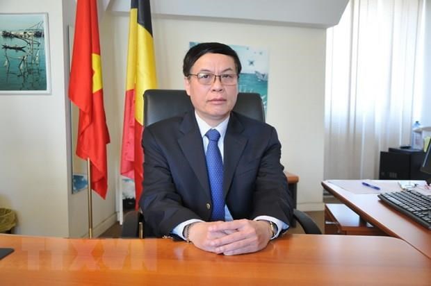 L’EVFTA ouvrira des opportunites d’affaires a la Belgique et au Vietnam hinh anh 1