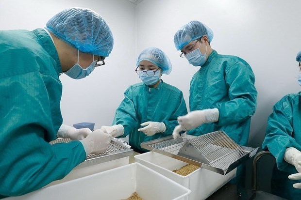 Coronavirus : aucun nouveau cas enregistre au Vietnam en 12 heures hinh anh 1