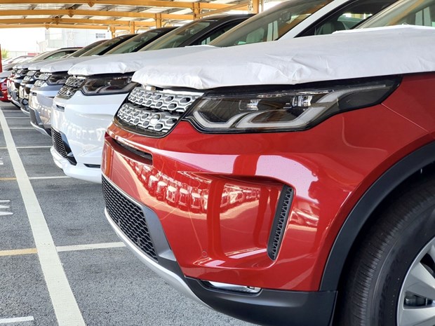 Les importations d’automobiles progressent de 34% en juillet hinh anh 1