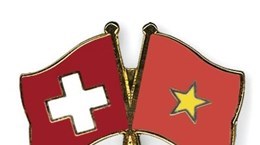 Celebration du 75e anniversaire de la diplomatie vietnamienne en Suisse hinh anh 1