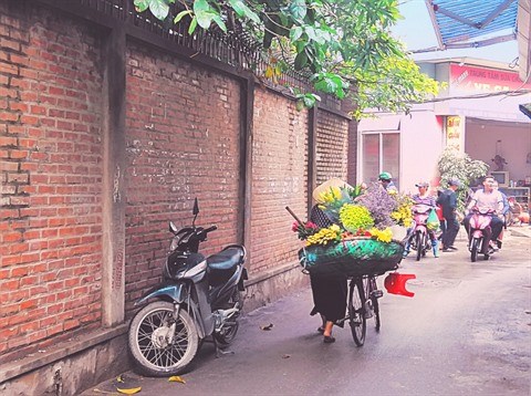 La palanche des marchands ambulants : un embleme de Hanoi hinh anh 1