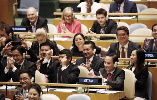L’ONU, base de la diplomatie multilaterale vietnamienne hinh anh 1