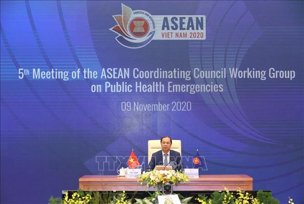 ASEAN 2020 : l'ASEAN rejoint le combat conjointe contre le COVID-19 hinh anh 1