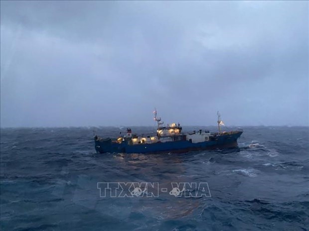 Un cargo russe en detresse remorque par la marine vietnamienne hinh anh 1