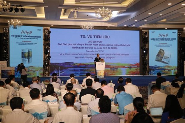 Rapport economique annuel du delta du Mekong en 2020 hinh anh 1