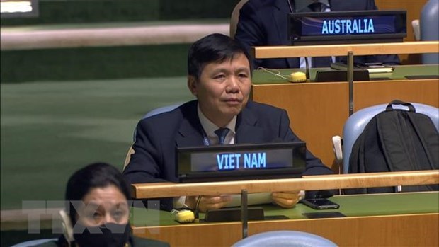 Vietnam, Russie et Afrique du Sud fetent l’anniversaire de la Declaration sur la decolonisation hinh anh 1
