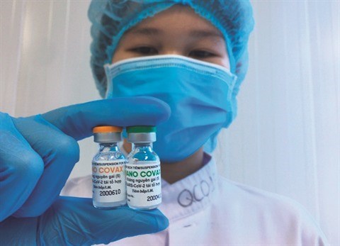 Un vaccin anti-coronavirus "made in Vietnam" teste sur l’homme hinh anh 1