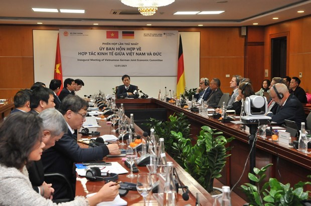 La premiere reunion du comite mixte Vietnam-Allemagne sur la cooperation economique hinh anh 1