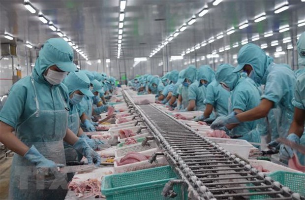 Le Vietnam preoccupe par les regles du Bresil sur les importations aquacoles hinh anh 1
