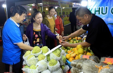 Tet : les oranges et les pamplemousses de Hanoi face a la concurrence hinh anh 2