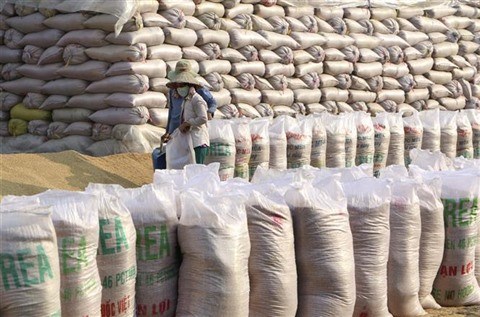 Le prix a l’export du riz vietnamien continue d’augmenter hinh anh 1