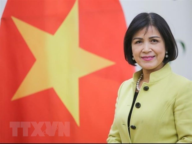 Le Vietnam soutient le role du Centre Sud dans la promotion de la cooperation entre les pays en developpement hinh anh 1