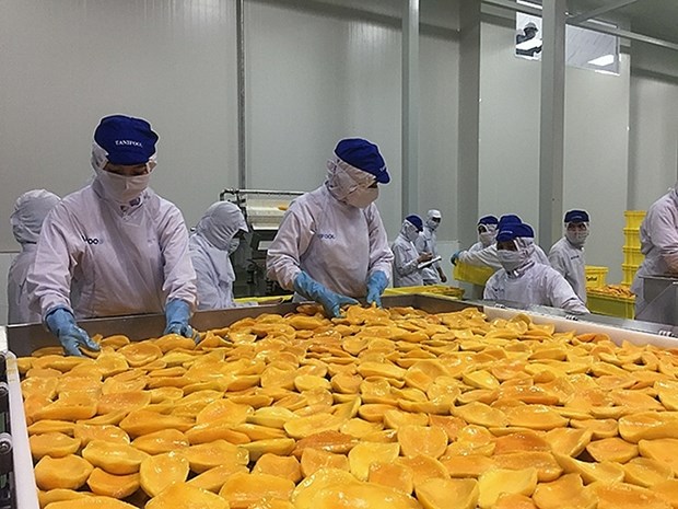L'Australie augmente ses importations de fruits et legumes transformes du Vietnam hinh anh 1