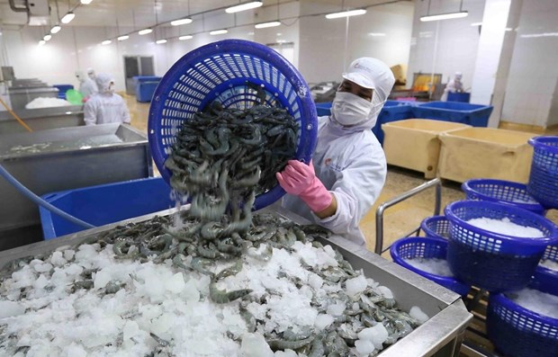 Crevettes : le Vietnam salue la decision des Etats-Unis concernant Minh Phu Seafood Corporation hinh anh 1