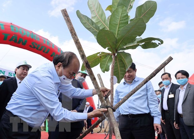 Le PM a la ceremonie de lancement de la Fete de plantation d'arbres a Phu Yen hinh anh 2