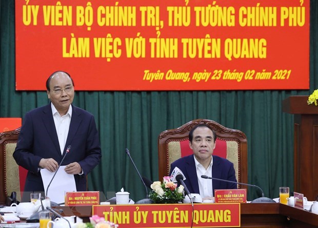 PM : Tuyen Quang necessite le developpement de l’industrie du bois hinh anh 1