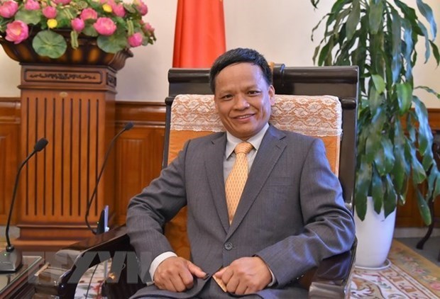Le Vietnam presente un candidat a la Commission du droit international hinh anh 1