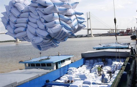 Le Bangladesh veut importer 50.000 tonnes de riz du Vietnam hinh anh 1