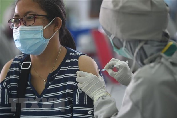 COVID-19 : Plus de cinq millions d'Indonesiens sont vaccines hinh anh 1