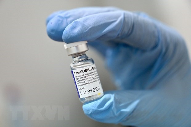 COVID-19 : un vaccin russe approuve par le ministere de la Sante hinh anh 1