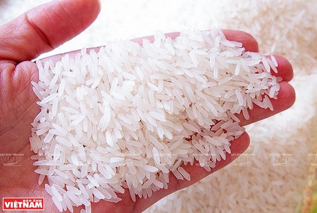 Le prix du riz vietnamien en hausse grace a une forte demande mondiale hinh anh 2