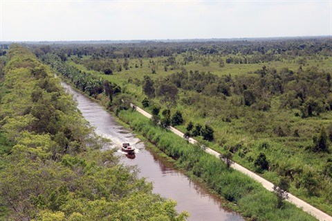 Se conformer aux lois naturelles pour un delta du Mekong durable hinh anh 3