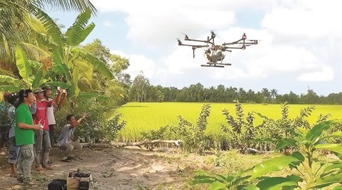 Les drones prennent leur envol dans le monde agricole hinh anh 1