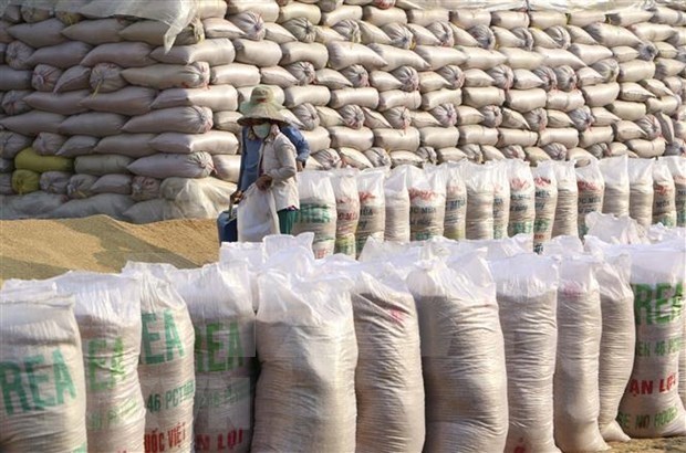 Le Vietnam demeurerait le 2e plus grand exportateur mondial de riz en 2021 hinh anh 1