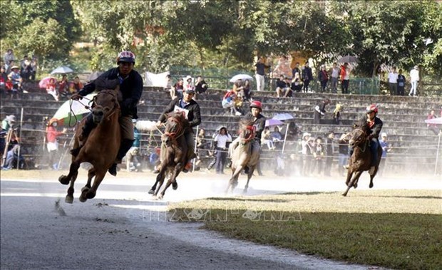 Course de chevaux traditionnelle de Bac Ha reconnue comme patrimoine immateriel hinh anh 3