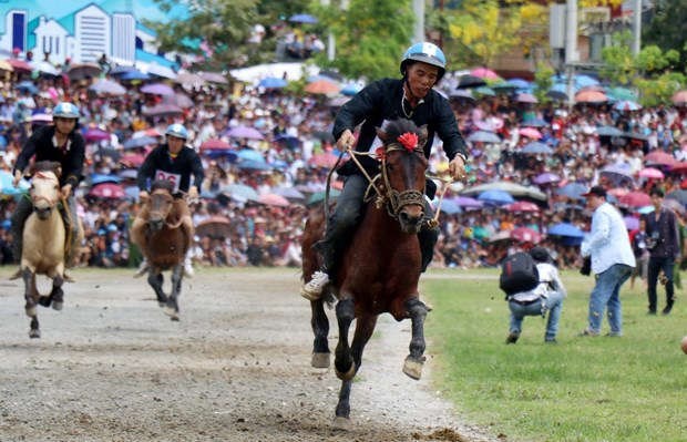 Course de chevaux traditionnelle de Bac Ha reconnue comme patrimoine immateriel hinh anh 1